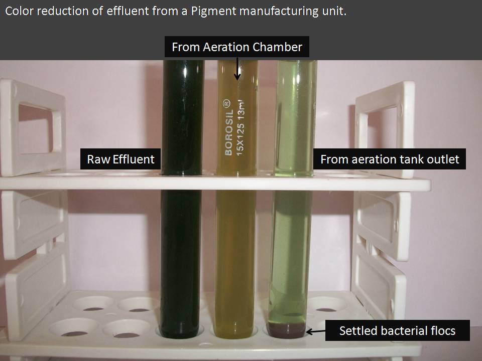 Colour reduction in effluent from Pigment Manufacturing Unit